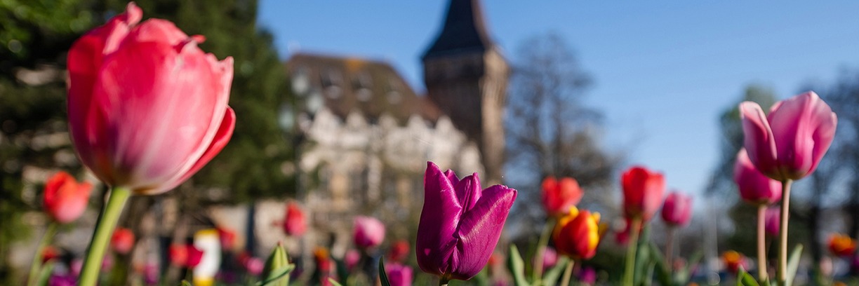 Spring awakening: stroll around the most beautiful places of the ...