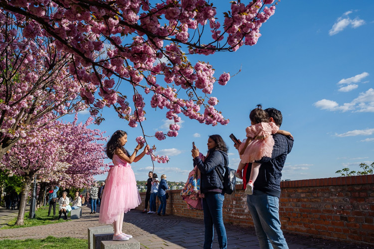 Budapest in spring