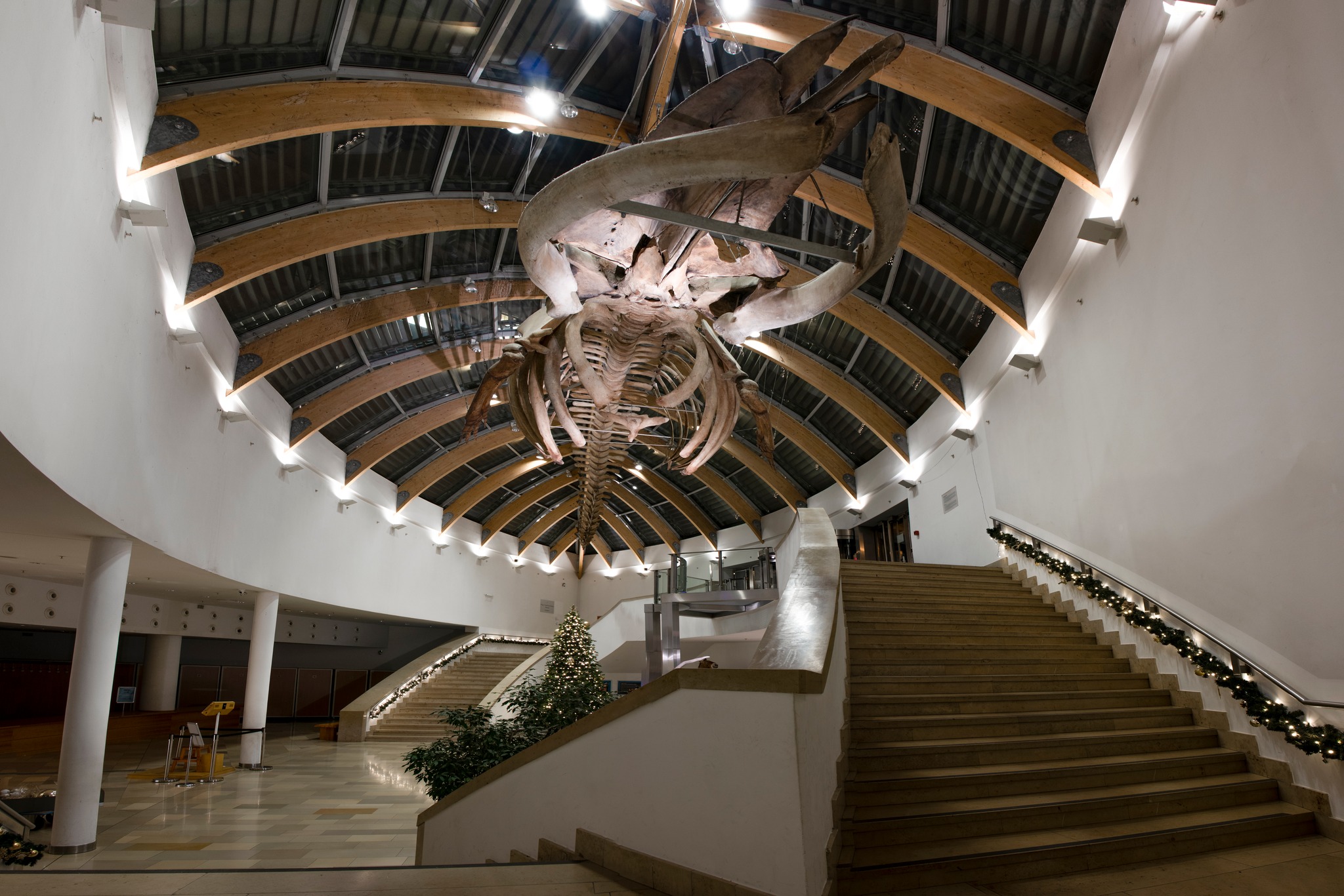 San Antonio, Texas intelligence overview